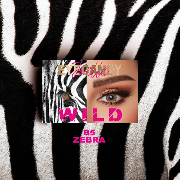 EYECANDY NON MEDICATED CONTACT LENS B5 ZEBRA - PWR 0